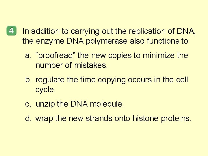 In addition to carrying out the replication of DNA, the enzyme DNA polymerase also