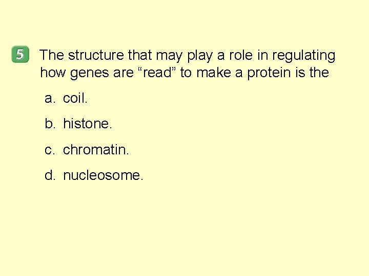 The structure that may play a role in regulating how genes are “read” to