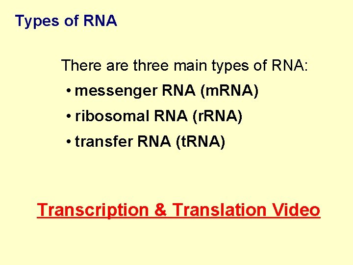 Types of RNA There are three main types of RNA: • messenger RNA (m.