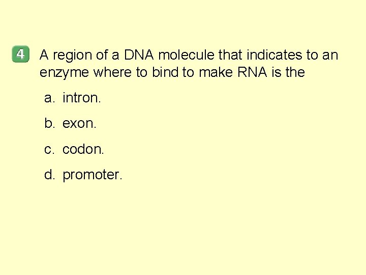A region of a DNA molecule that indicates to an enzyme where to bind