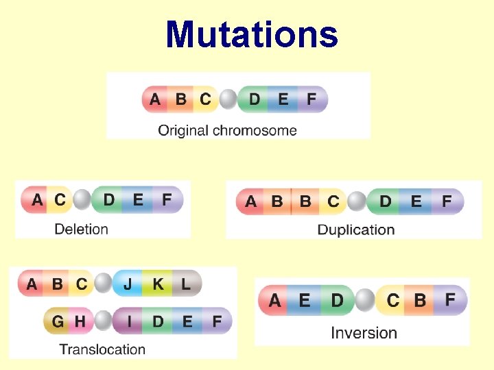 Mutations 