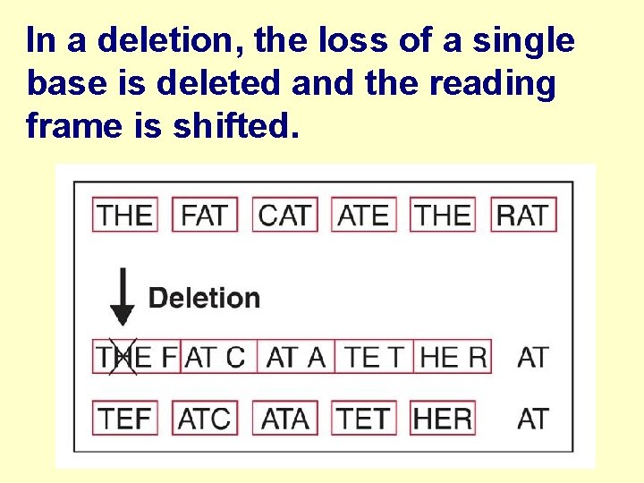 In a deletion, the loss of a single base is deleted and the reading
