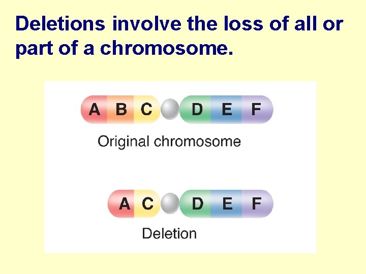 Deletions involve the loss of all or part of a chromosome. 