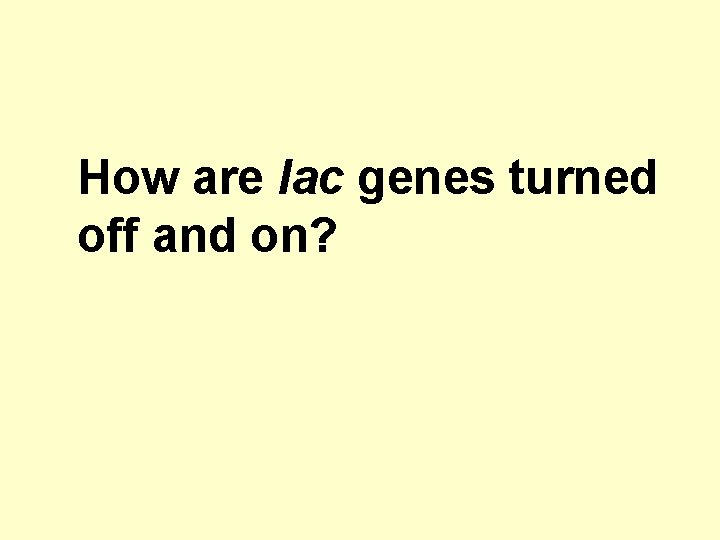 How are lac genes turned off and on? 