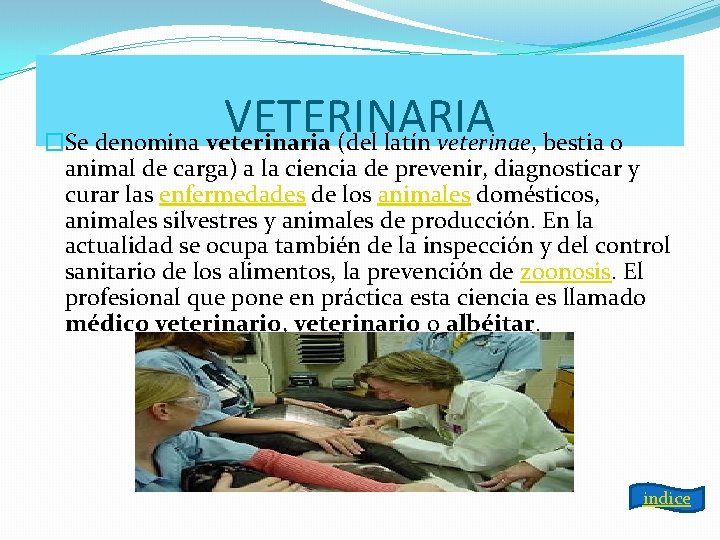 VETERINARIA �Se denomina veterinaria (del latín veterinae, bestia o animal de carga) a la