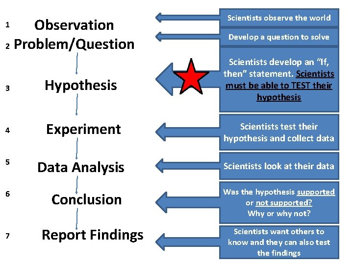 Observation 2 Problem/Question 1 3 Hypothesis 4 Experiment 5 6 7 Scientists observe the