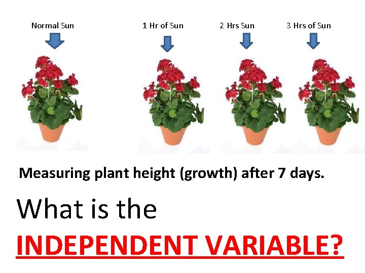 Normal Sun 1 Hr of Sun 2 Hrs Sun 3 Hrs of Sun Measuring