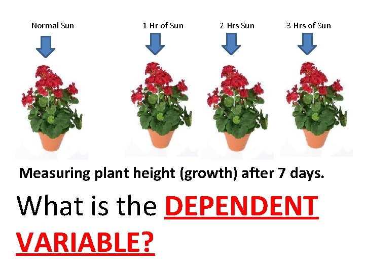 Normal Sun 1 Hr of Sun 2 Hrs Sun 3 Hrs of Sun Measuring