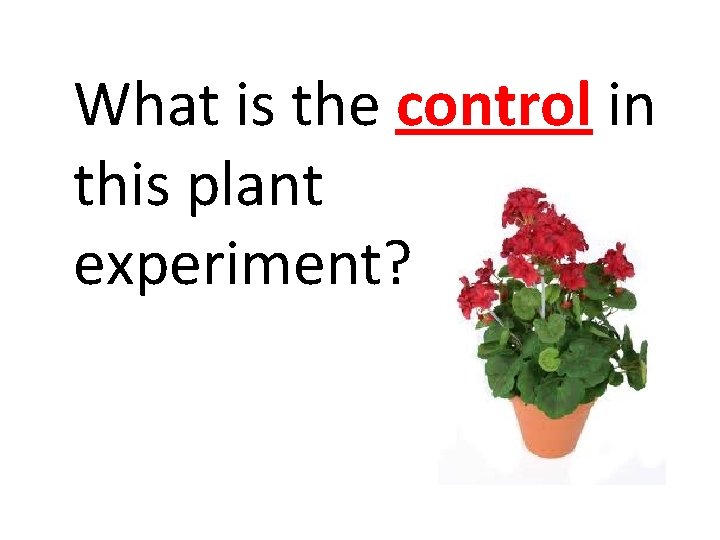 What is the control in this plant experiment? 