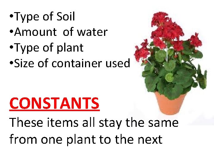  • Type of Soil • Amount of water • Type of plant •