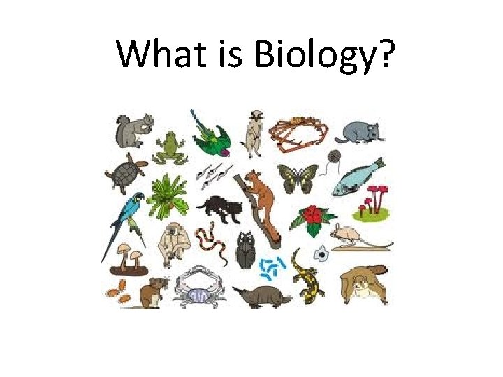 What is Biology? 