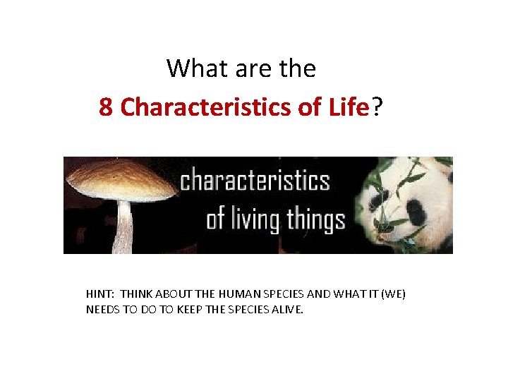 What are the 8 Characteristics of Life? HINT: THINK ABOUT THE HUMAN SPECIES AND