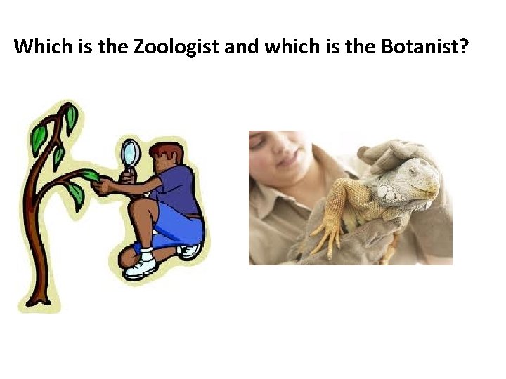 Which is the Zoologist and which is the Botanist? 