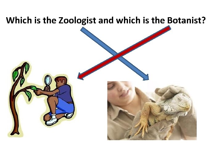 Which is the Zoologist and which is the Botanist? 