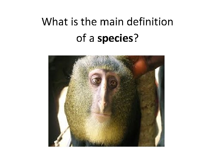 What is the main definition of a species? 