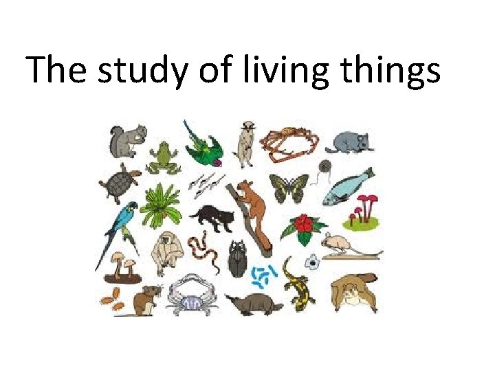 The study of living things 