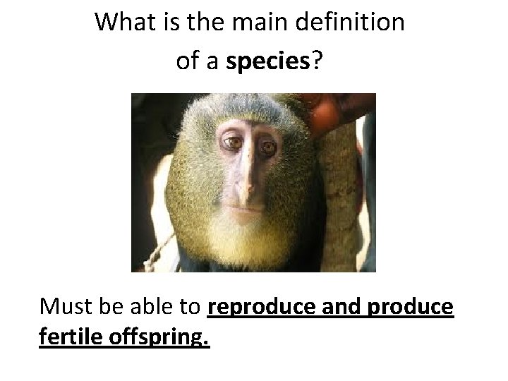 What is the main definition of a species? Must be able to reproduce and