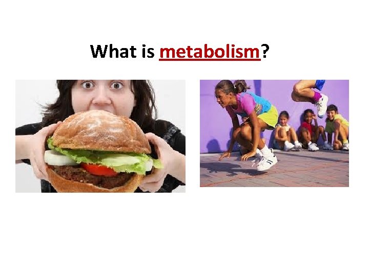 What is metabolism? 
