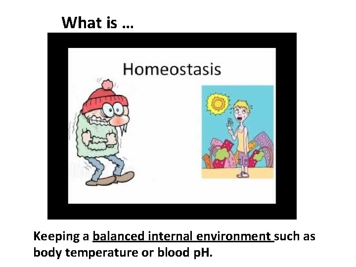 What is … Keeping a balanced internal environment such as body temperature or blood