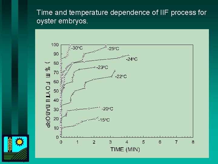 Time and temperature dependence of IIF process for oyster embryos. 