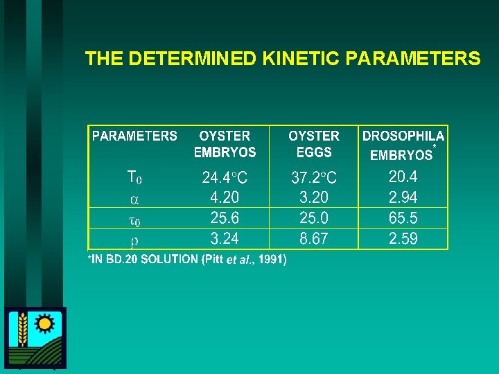 THE DETERMINED KINETIC PARAMETERS 