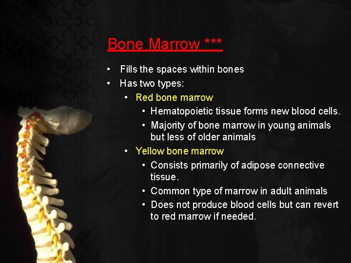 Bone Marrow *** • Fills the spaces within bones • Has two types: •