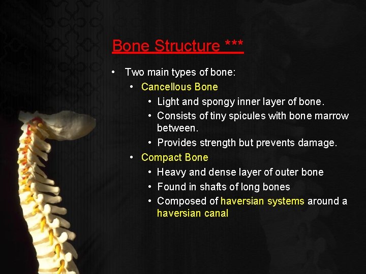 Bone Structure *** • Two main types of bone: • Cancellous Bone • Light