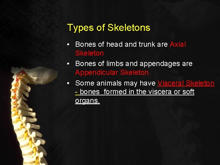 Types of Skeletons • Bones of head and trunk are Axial Skeleton • Bones