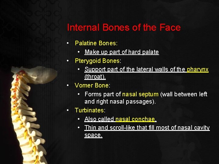 Internal Bones of the Face • Palatine Bones: • Make up part of hard
