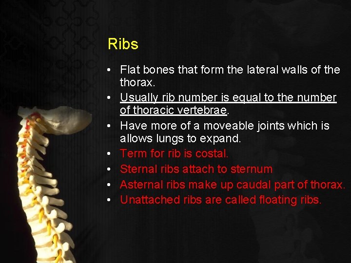 Ribs • Flat bones that form the lateral walls of the thorax. • Usually