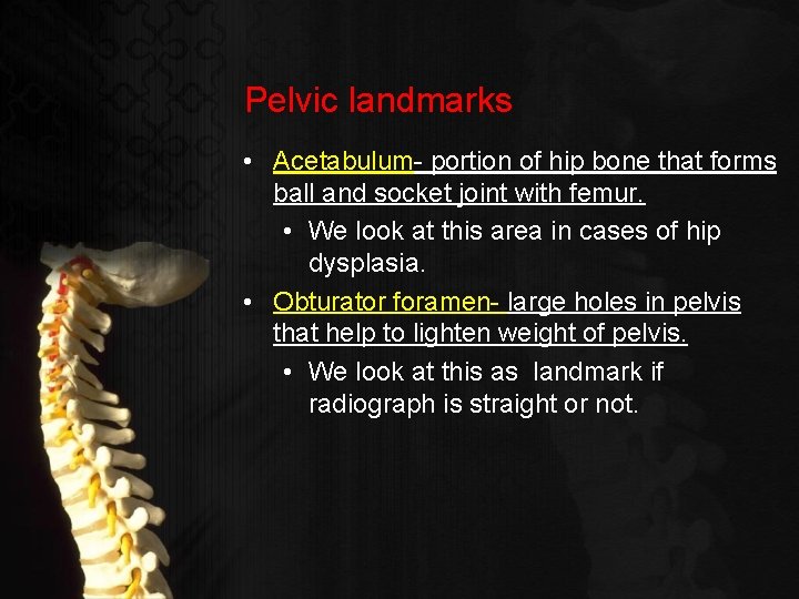 Pelvic landmarks • Acetabulum- portion of hip bone that forms ball and socket joint