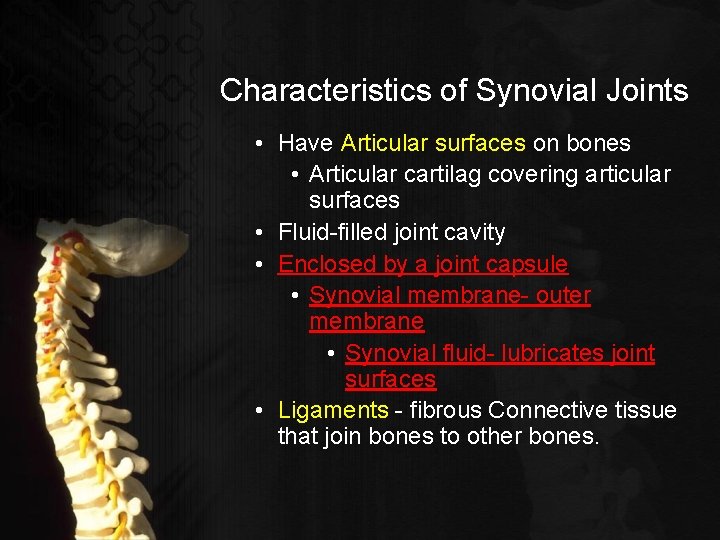Characteristics of Synovial Joints • Have Articular surfaces on bones • Articular cartilag covering