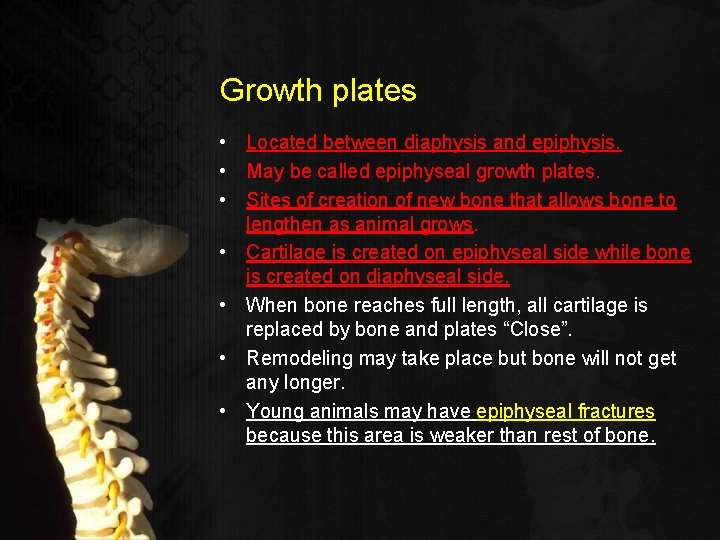 Growth plates • Located between diaphysis and epiphysis. • May be called epiphyseal growth