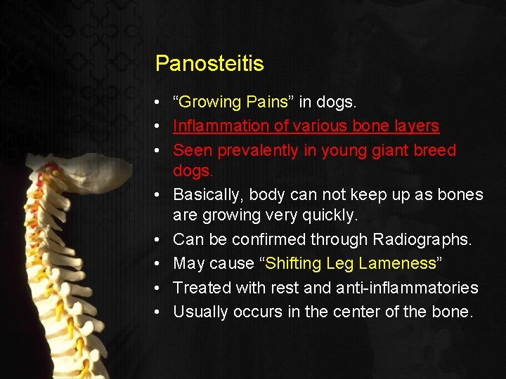 Panosteitis • “Growing Pains” in dogs. • Inflammation of various bone layers • Seen