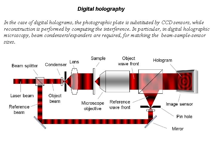 Digital holography In the case of digital holograms, the photographic plate is substituted by