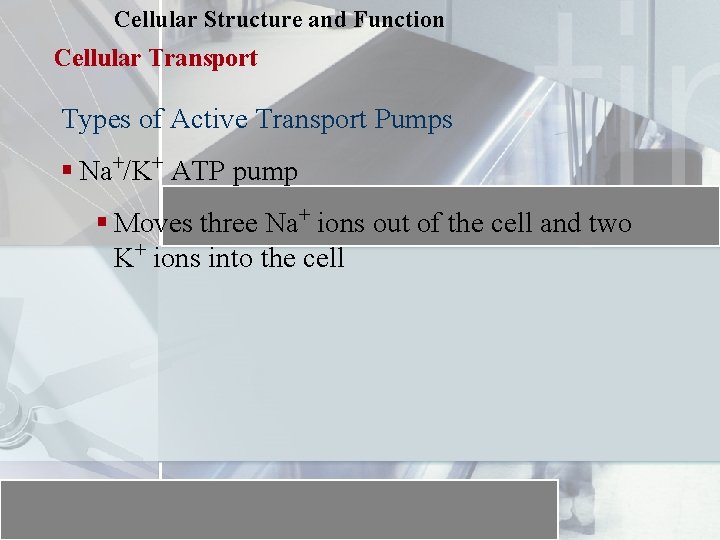 Cellular Structure and Function Cellular Transport Types of Active Transport Pumps § Na+/K+ ATP