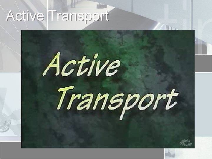 Active Transport 