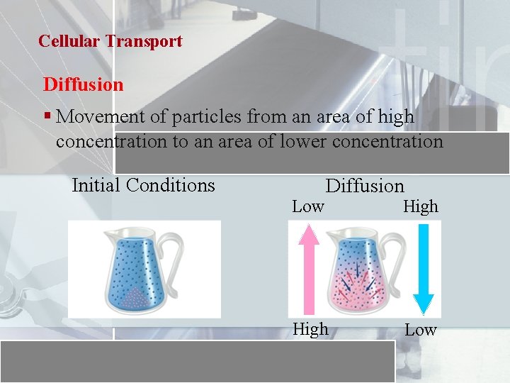 Cellular Transport Diffusion § Movement of particles from an area of high concentration to