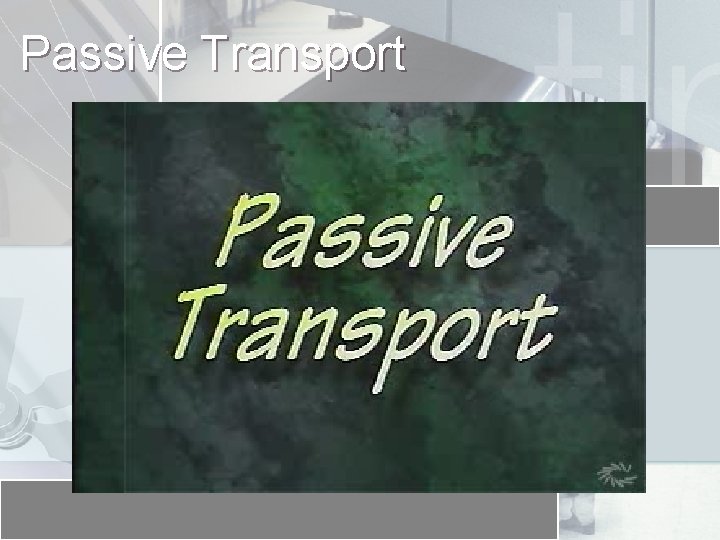 Passive Transport 