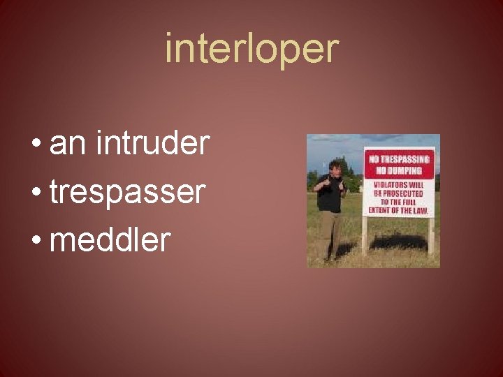 interloper • an intruder • trespasser • meddler 