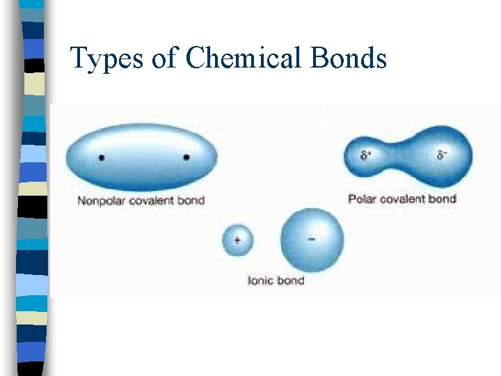 Types of Chemical Bonds 
