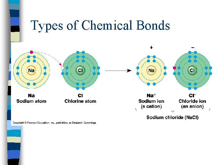 Types of Chemical Bonds 