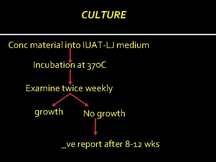 CULTURE Conc material into IUAT-LJ medium Incubation at 37○C Examine twice weekly growth No
