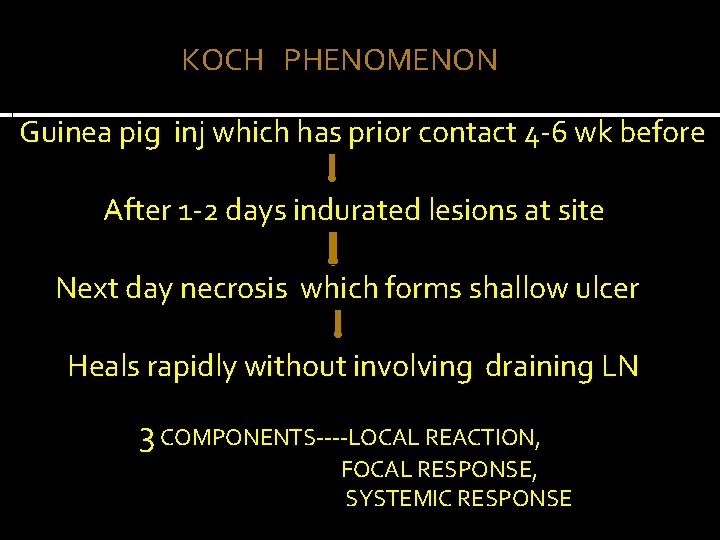 KOCH PHENOMENON Guinea pig inj which has prior contact 4 -6 wk before After