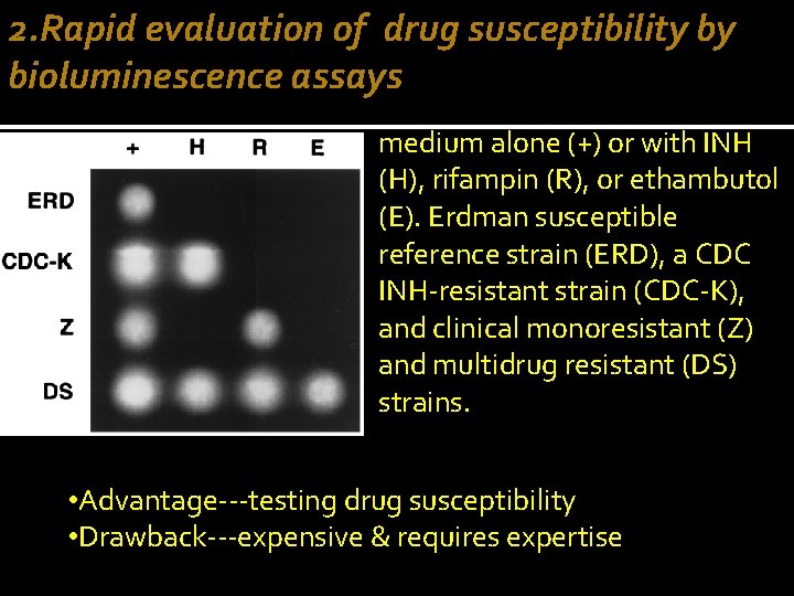 2. Rapid evaluation of drug susceptibility by bioluminescence assays medium alone (+) or with