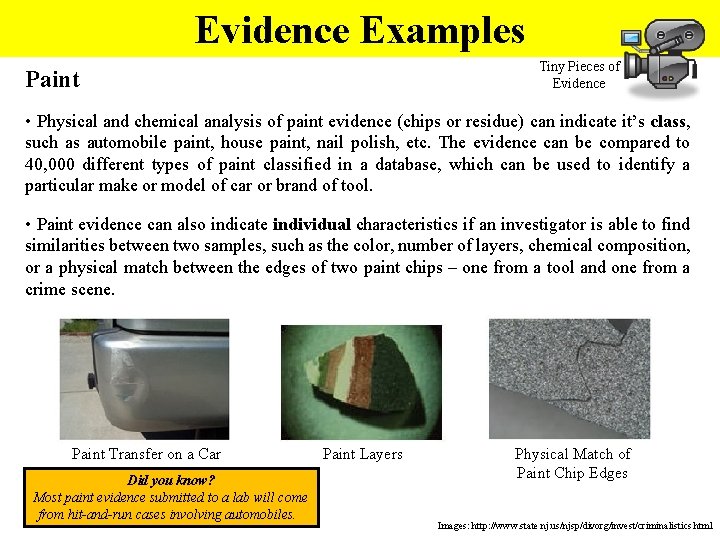Evidence Examples Tiny Pieces of Evidence Paint • Physical and chemical analysis of paint