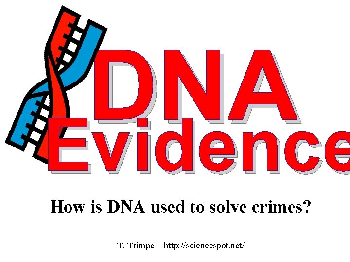 DNA Evidence How is DNA used to solve crimes? T. Trimpe http: //sciencespot. net/