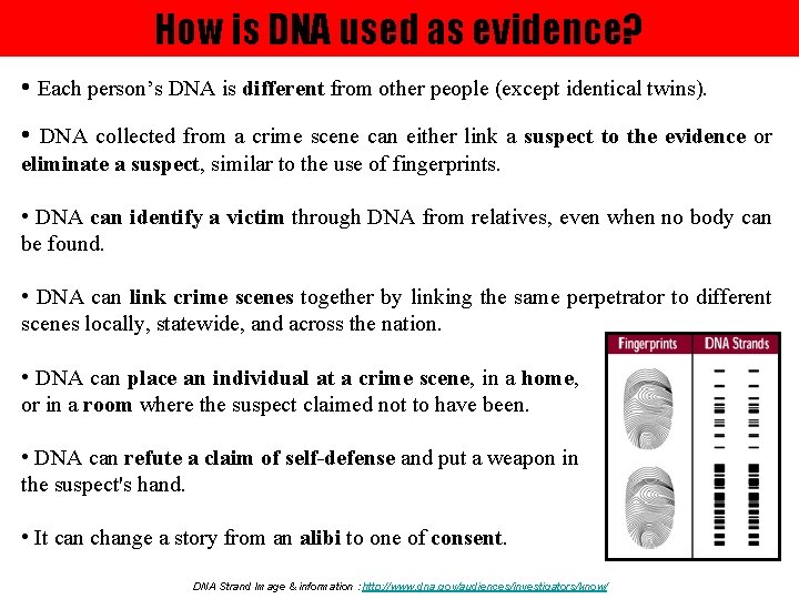 How is DNA used as evidence? • Each person’s DNA is different from other