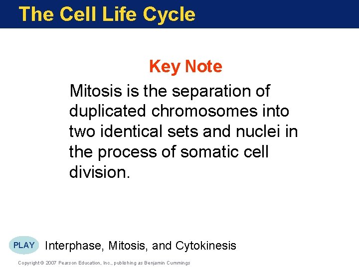 The Cell Life Cycle Key Note Mitosis is the separation of duplicated chromosomes into