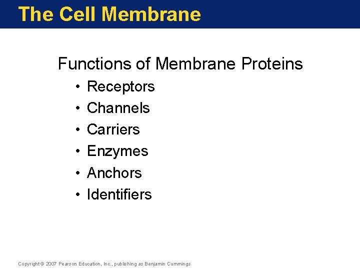 The Cell Membrane Functions of Membrane Proteins • • • Receptors Channels Carriers Enzymes
